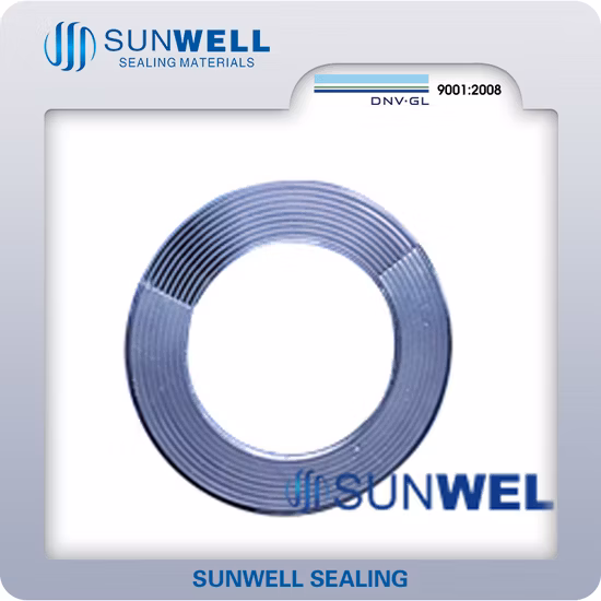 Metal Serrated Gasket with Graphite on Surface