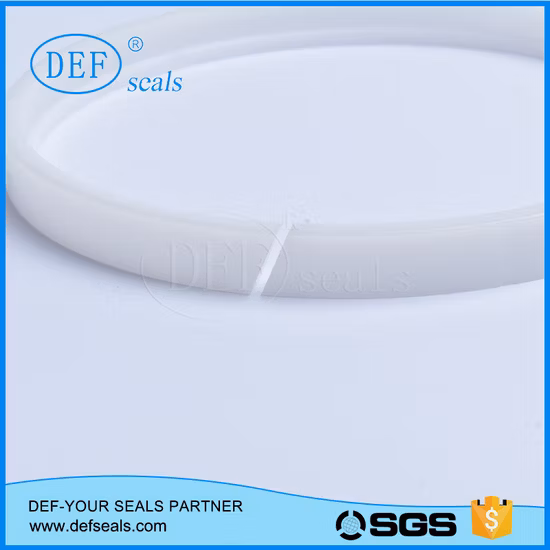 Virgin PTFE /POM/PA Backup Ring/Gasket